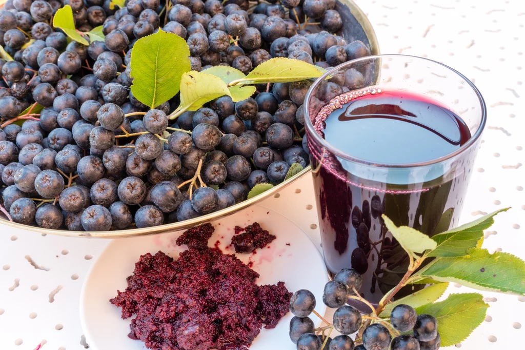 Moje babička  dělala šťávu z arónie bez náznaku hořkosti. Místo třešňových listů přidávala další ingredienci