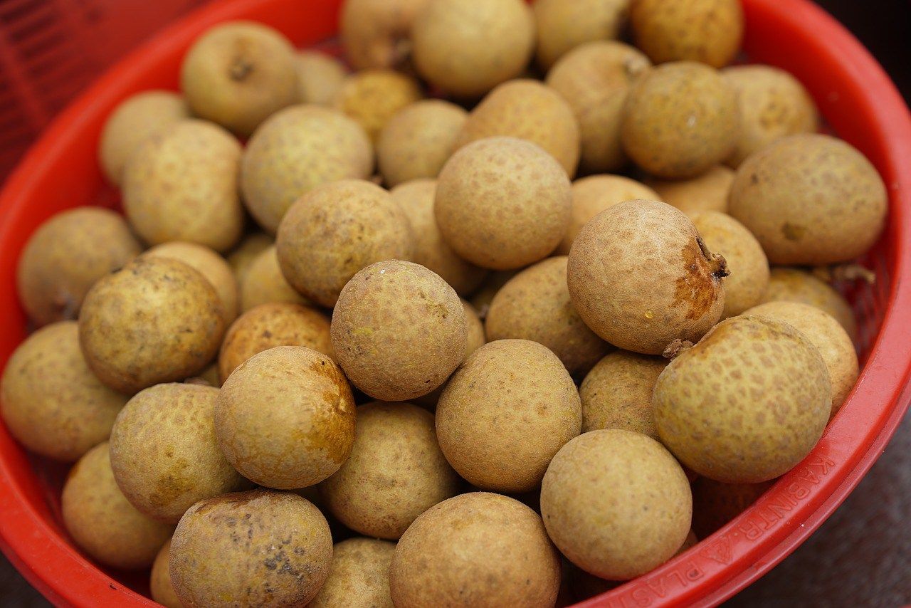 Vypadá jako mladé brambory, chutná jako směs grapefruitu a hroznového vína. Obsahuje mnoho vitamínů a pomáhá bojovat proti migréně.