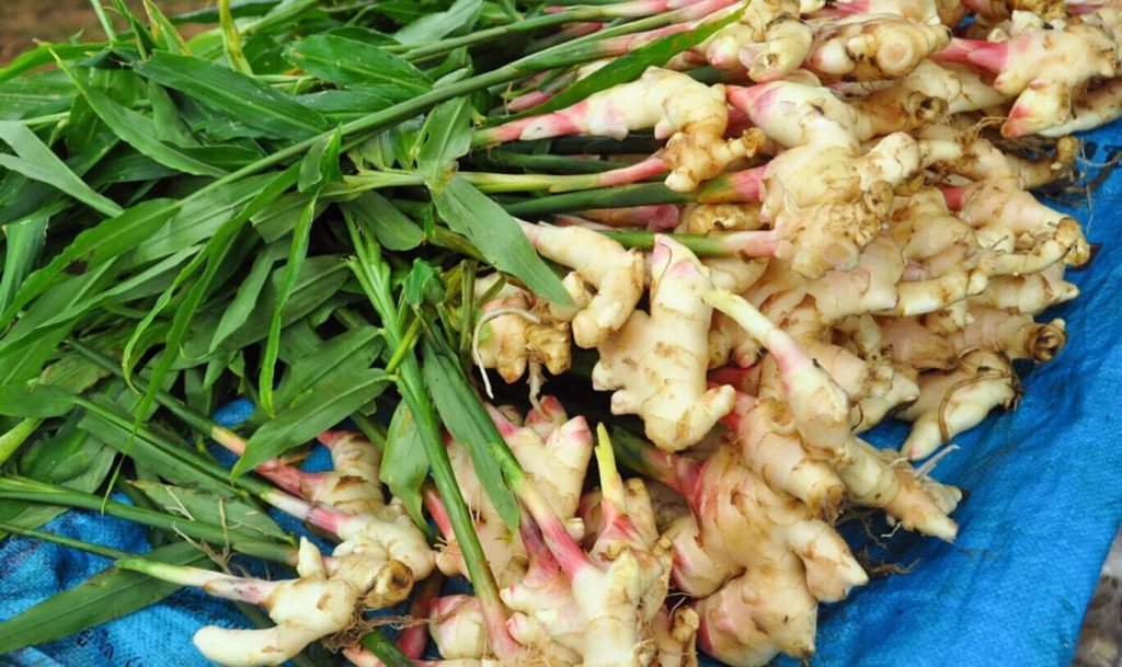 Snižuje hladinu cholesterolu a krevní tlak. Nejlepší koření pro srdce