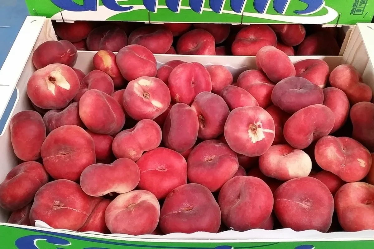 Nenechte si tyto plody v obchodě ujít. Odstraňují toxiny z těla jako kartáč