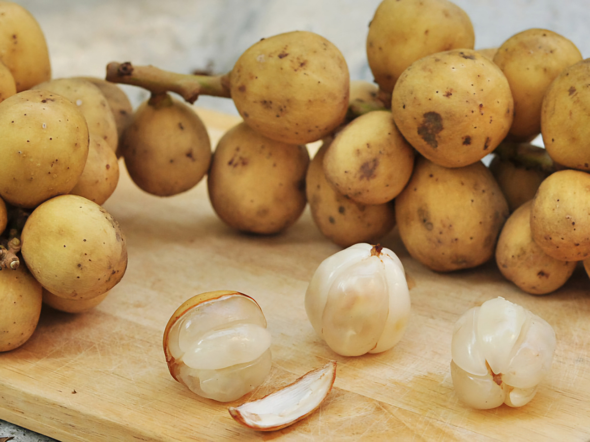Vypadá jako mladé brambory, chutná jako směs grapefruitu a hroznového vína. Obsahuje mnoho vitamínů a pomáhá bojovat proti migréně.