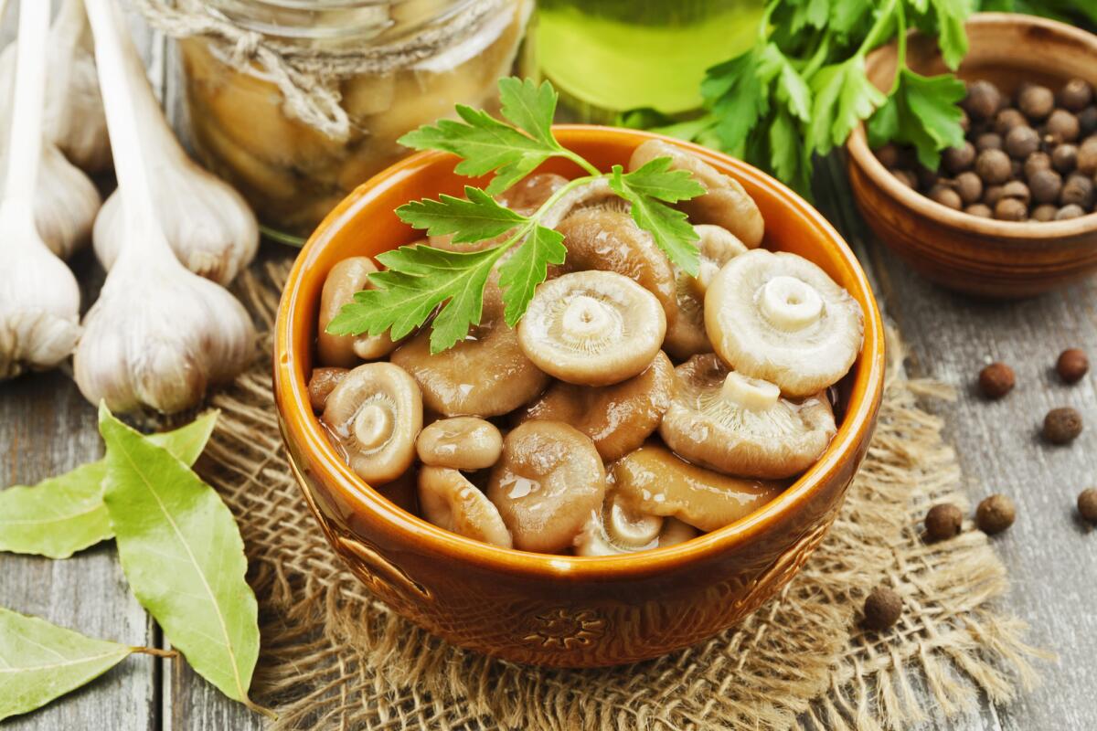 Nejlepší marináda na houby. Je méně pikantní a aromatičtější než tradiční