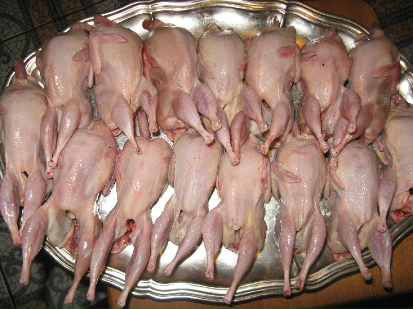 Mimořádně jemné a šťavnaté maso. Kdysi pouze na královských stolech, dnes zcela zapomenuté