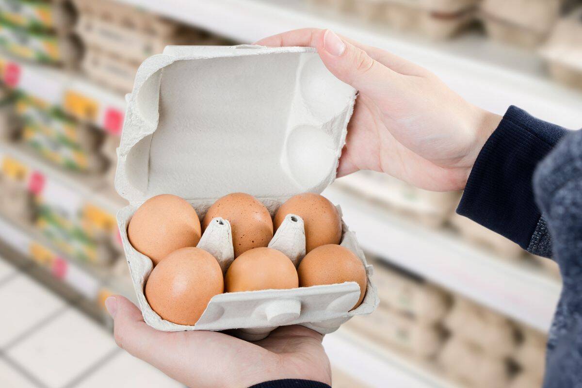 „Proč jsou vejce v supermarketu na regálech a doma v ledničce?“